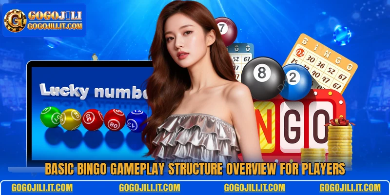 Basic bingo gameplay structure overview for players