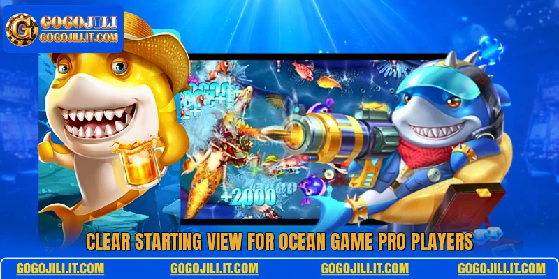 Clear starting view for Ocean Game Pro players