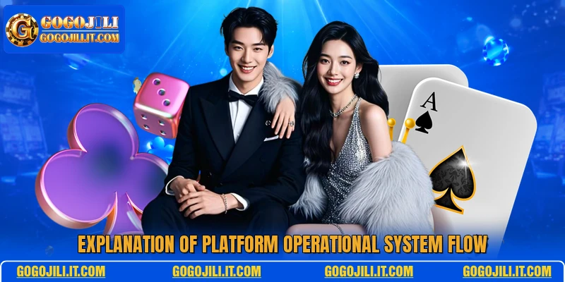 Explanation of platform operational system flow