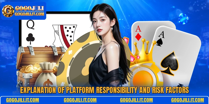 Explanation of platform responsibility and risk factors