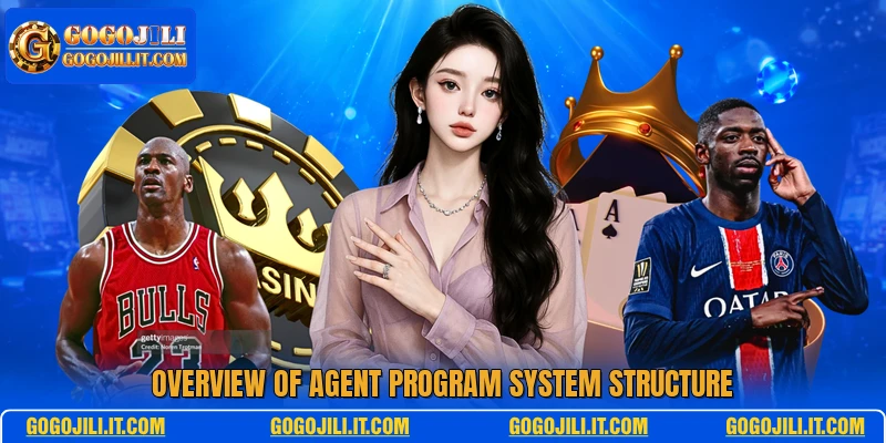 Overview of agent program system structure