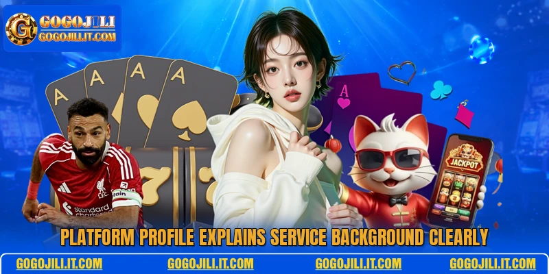 Platform profile explains service background clearly